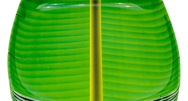 Heavy Melamine Plates 10 Inch – EVR.LK in Eravur